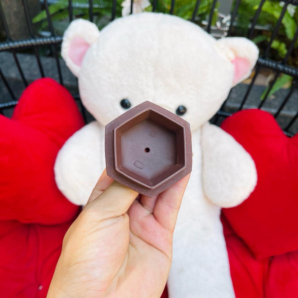 Ấm Lục Phương Cung Đăng Thi Xương-duoc-ban-tai-Cộng Đồng Luxury Nguyễn VănAnh
