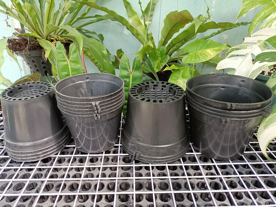 Chậu lan bít F12-duoc-ban-tai-Vật tư cây cảnh Cỏ Ba Lá