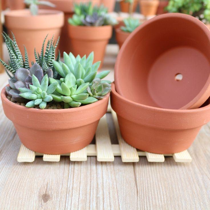 Chậu Đất Nung Ly Thao Đỏ-duoc-ban-tai-Vật tư cây cảnh Cỏ Ba Lá