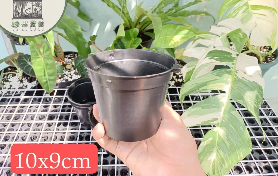 Chậu lan bít F10-duoc-ban-tai-Vật tư cây cảnh Cỏ Ba Lá