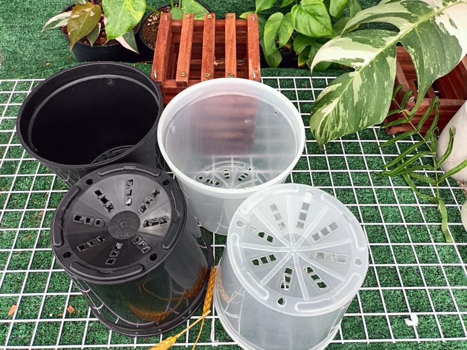 Chậu kiểng lá đen 22-duoc-ban-tai-Vật tư cây cảnh Cỏ Ba Lá