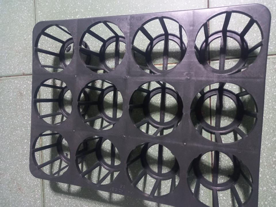 Khay hồ điệp 3.5-duoc-ban-tai-Vật tư cây cảnh Cỏ Ba Lá