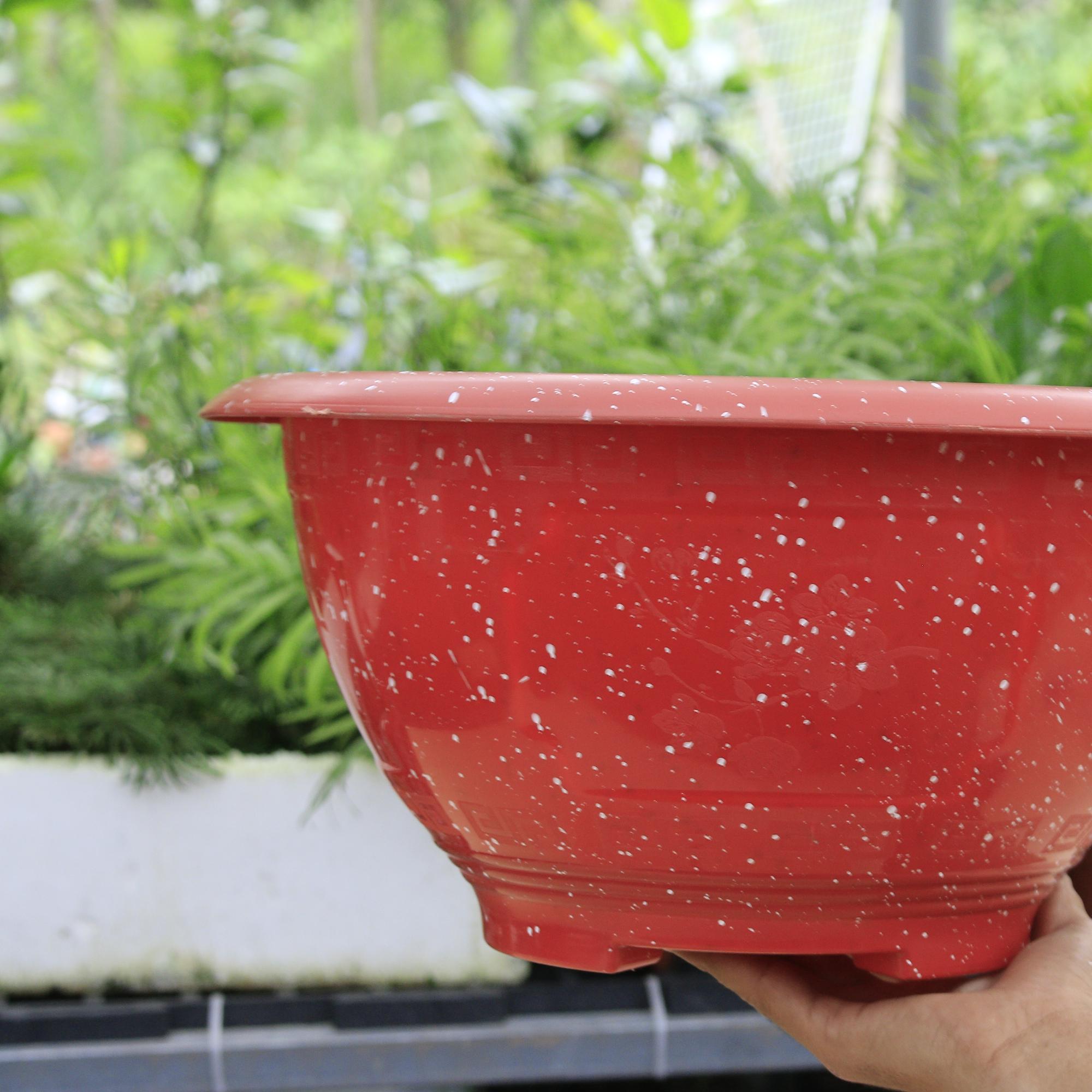 Chậu Nhựa Truyền Thống T28-duoc-ban-tai-Vật tư cây cảnh Cỏ Ba Lá