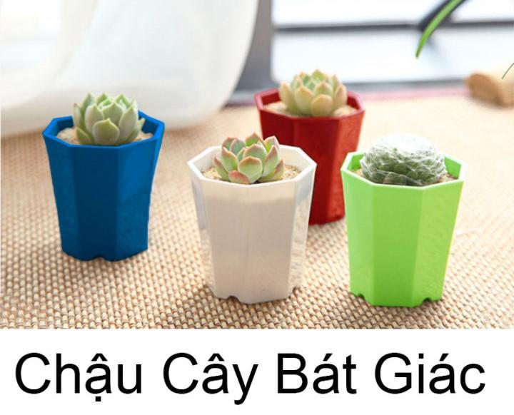 Chậu Bát Giác Mini Trồng Sen Đá 7*8 Đủ Màu.-duoc-ban-tai-Vật tư cây cảnh Cỏ Ba Lá