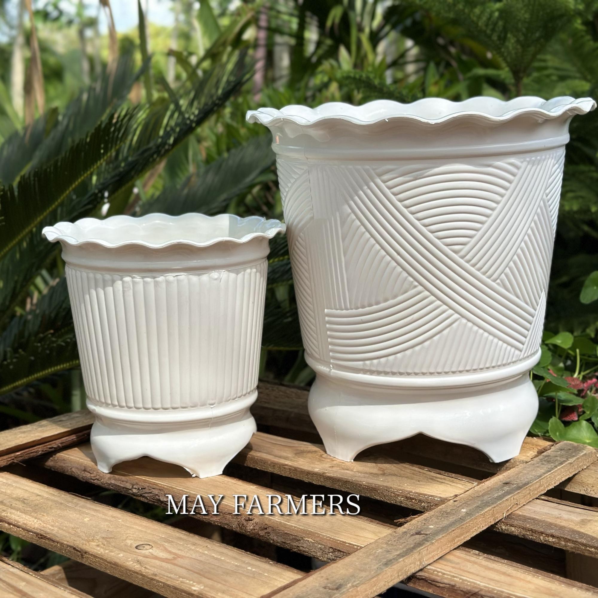 Chậu Nhựa Ba Chân-duoc-ban-tai-Vật tư cây cảnh Cỏ Ba Lá