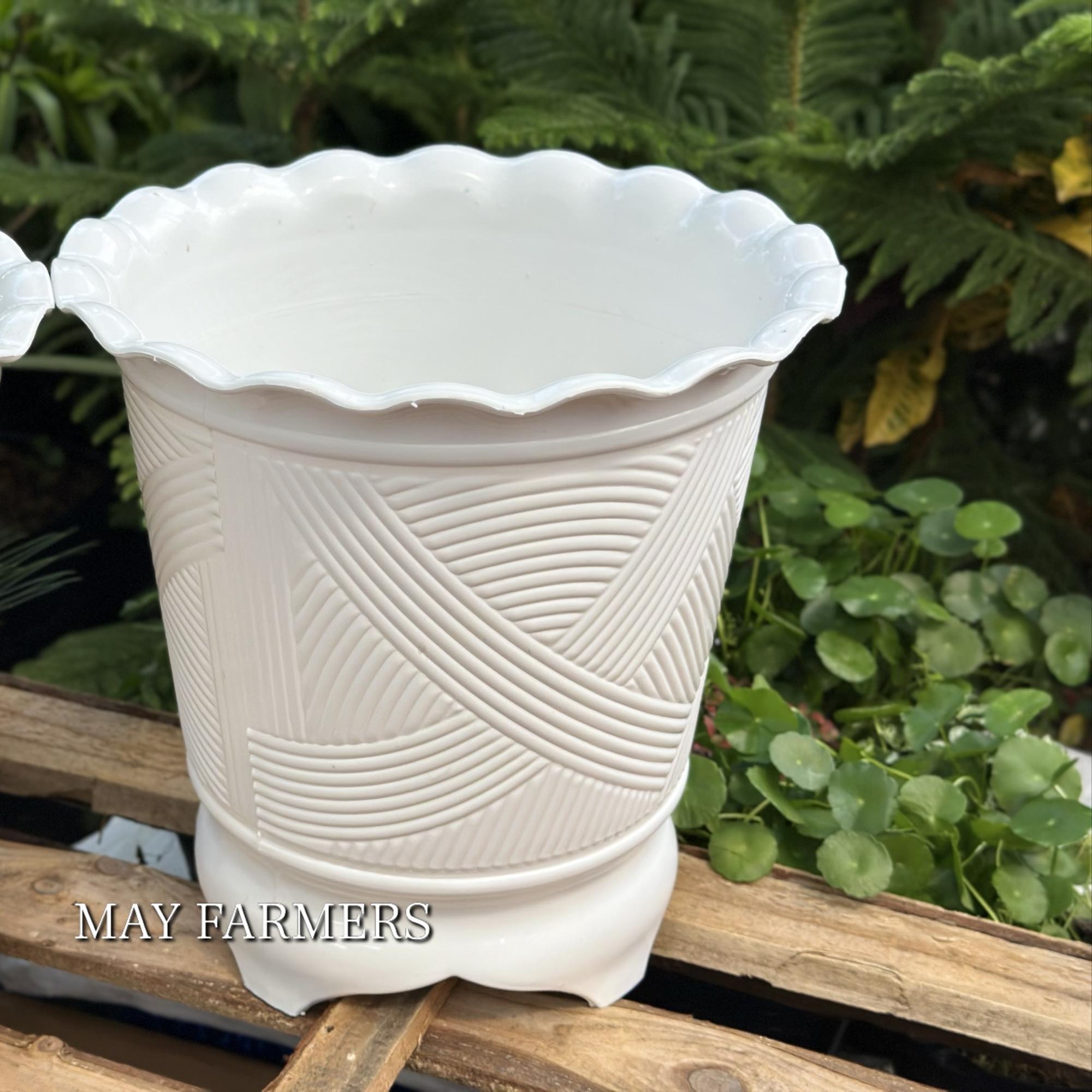 Chậu Nhựa Ba Chân-duoc-ban-tai-Vật tư cây cảnh Cỏ Ba Lá