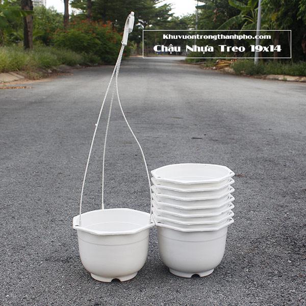 Chậu Treo Lục Giác-duoc-ban-tai-Vật tư cây cảnh Cỏ Ba Lá