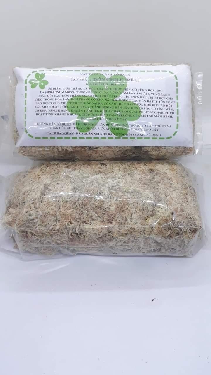 Dớn Trắng Chile gói 100gr-duoc-ban-tai-Vật tư cây cảnh Cỏ Ba Lá