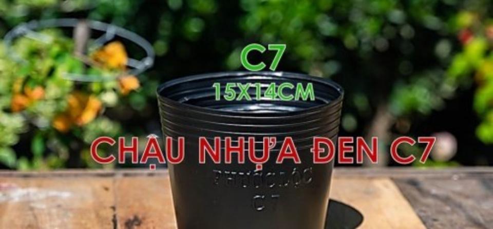 Chậu C7 15x14 ( Lốc 50 Cái ) -duoc-ban-tai-Vật tư cây cảnh Cỏ Ba Lá