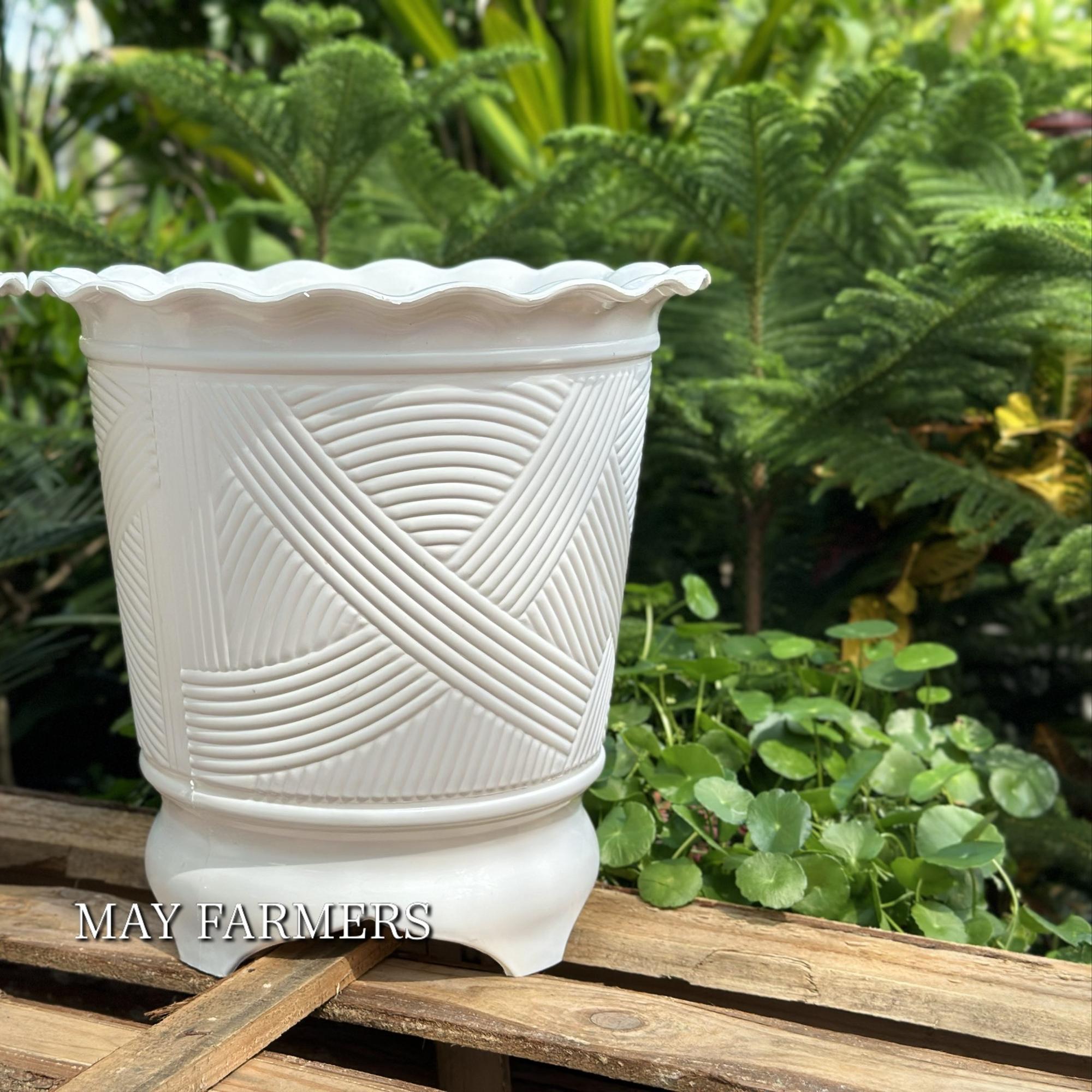 Chậu Nhựa Ba Chân-duoc-ban-tai-Vật tư cây cảnh Cỏ Ba Lá