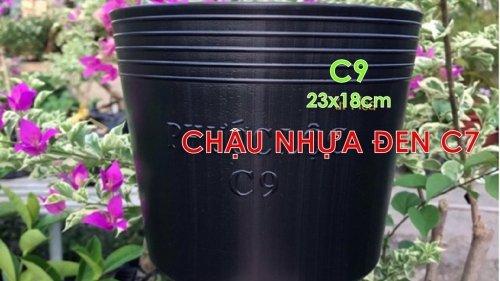 Chậu C9A ( Lốc 50 Cái )-duoc-ban-tai-Vật tư cây cảnh Cỏ Ba Lá