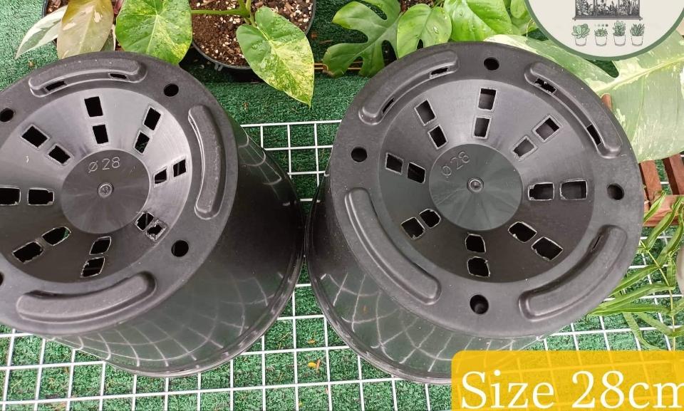 Chậu kiểng lá đen 28-duoc-ban-tai-Vật tư cây cảnh Cỏ Ba Lá