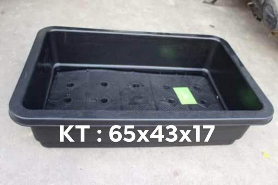 Khay Rau Đen 650x430x170-duoc-ban-tai-Vật tư cây cảnh Cỏ Ba Lá