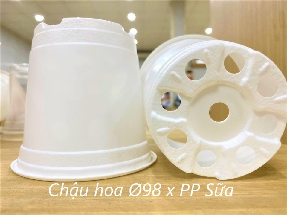 Chậu Ươm TTK màu  Trắng-duoc-ban-tai-Vật tư cây cảnh Cỏ Ba Lá