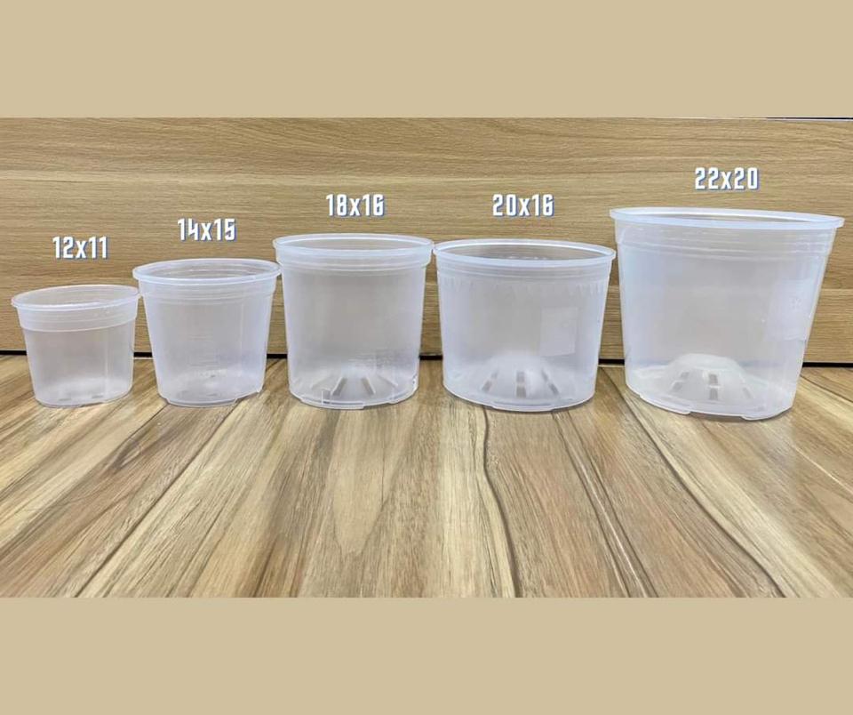 Chậu kiểng lá đen 28-duoc-ban-tai-Vật tư cây cảnh Cỏ Ba Lá