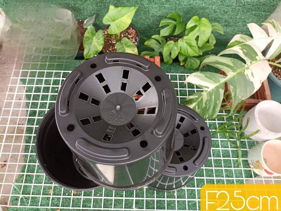 Chậu kiểng lá đen 25-duoc-ban-tai-Vật tư cây cảnh Cỏ Ba Lá