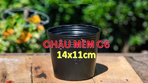 Chậu C6A 14x11 ( Lốc 50 Cái ) -duoc-ban-tai-Vật tư cây cảnh Cỏ Ba Lá