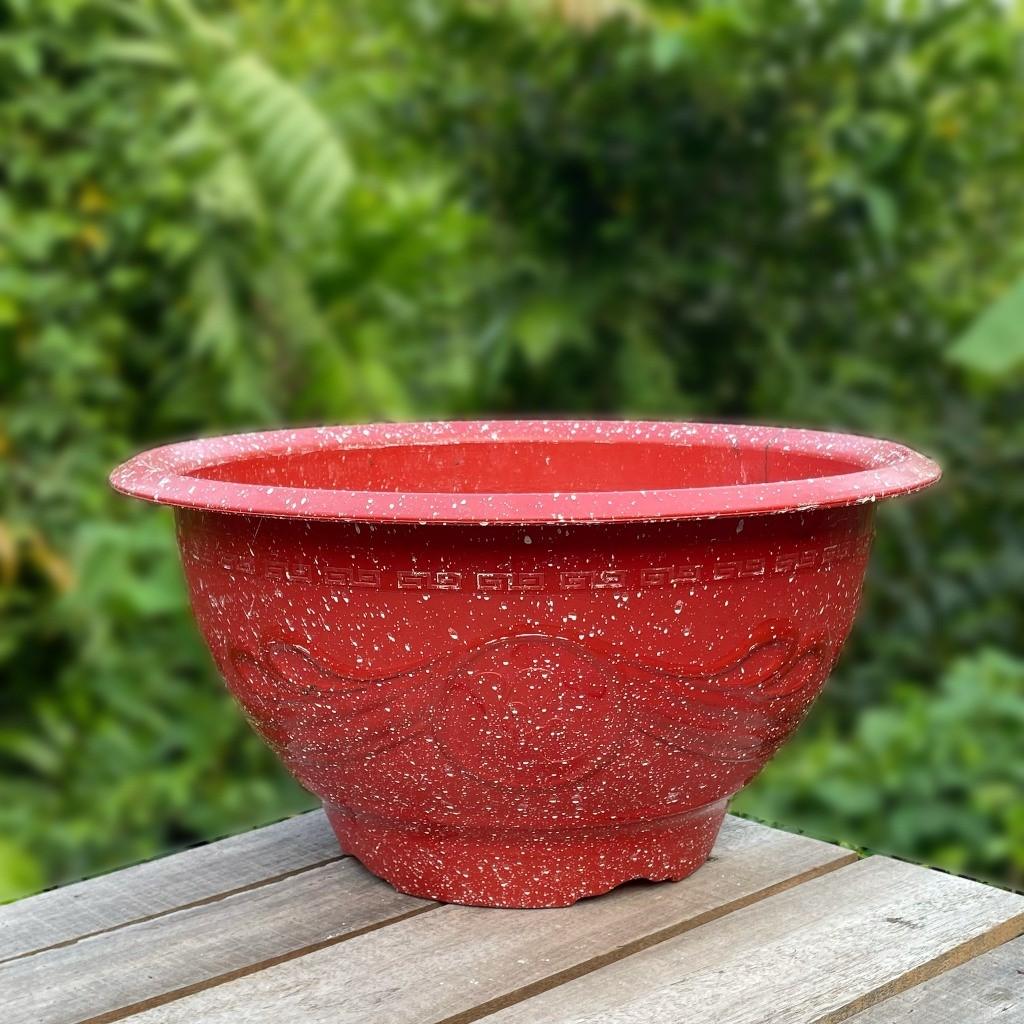 Chậu Nhựa Truyền Thống T43-duoc-ban-tai-Vật tư cây cảnh Cỏ Ba Lá