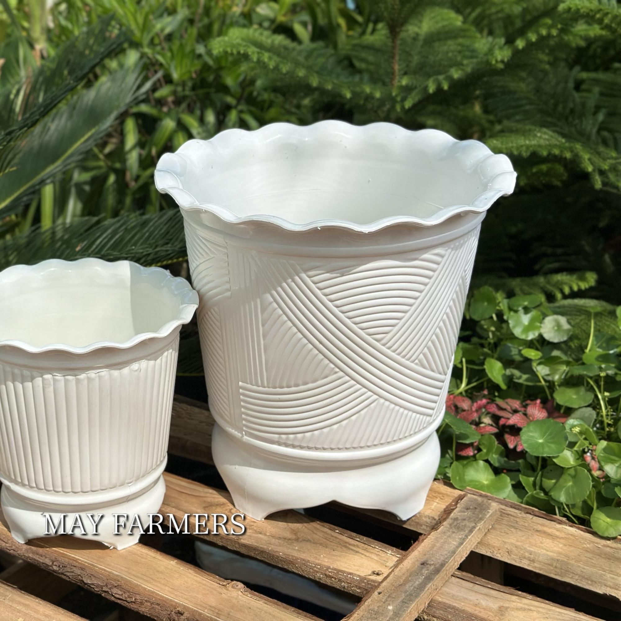 Chậu Nhựa Ba Chân-duoc-ban-tai-Vật tư cây cảnh Cỏ Ba Lá