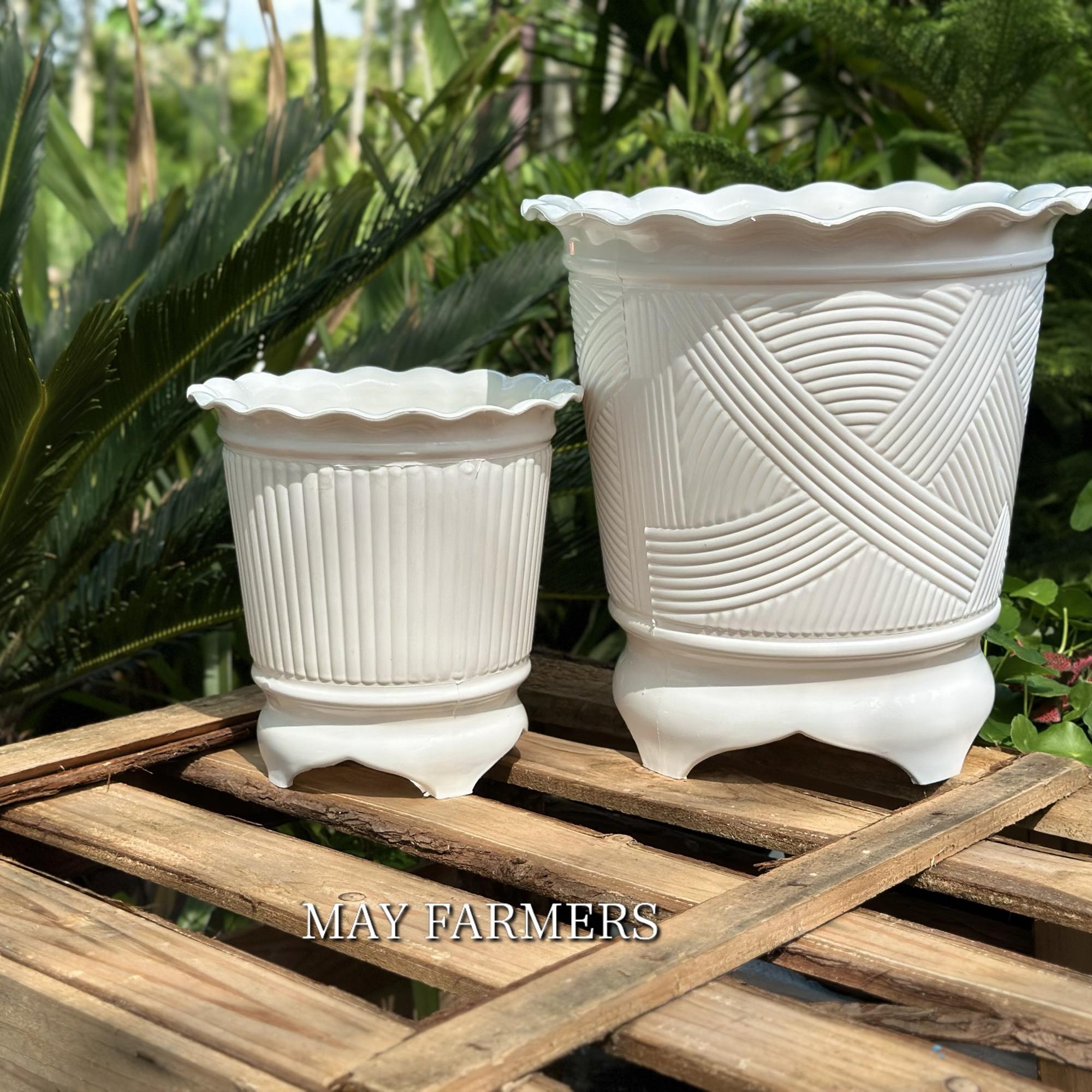 Chậu Nhựa Ba Chân-duoc-ban-tai-Vật tư cây cảnh Cỏ Ba Lá