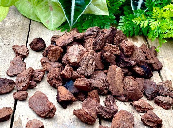Thông mài cạnh M1 xá-duoc-ban-tai-Vật tư cây cảnh Cỏ Ba Lá
