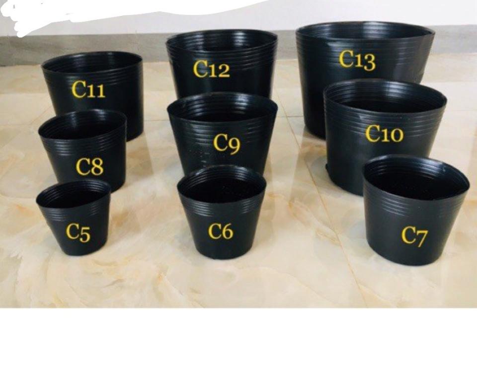 Chậu C5 10x10 ( Lốc 50 Cái )-duoc-ban-tai-Vật tư cây cảnh Cỏ Ba Lá