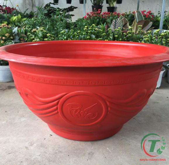 Chậu Nhựa Truyền Thống T33-duoc-ban-tai-Vật tư cây cảnh Cỏ Ba Lá