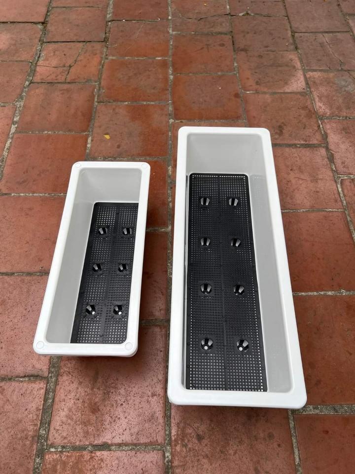 Khay Rau Ang Hoa 630x230x200 Trắng-duoc-ban-tai-Vật tư cây cảnh Cỏ Ba Lá