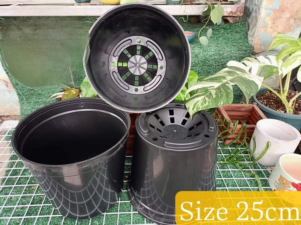 Chậu kiểng lá đen 25-duoc-ban-tai-Vật tư cây cảnh Cỏ Ba Lá