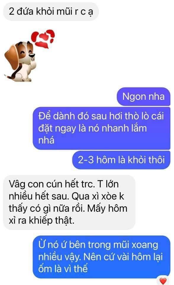 Cao Ho - Bổ phế-duoc-ban-tai-Quỳnh thảo dược