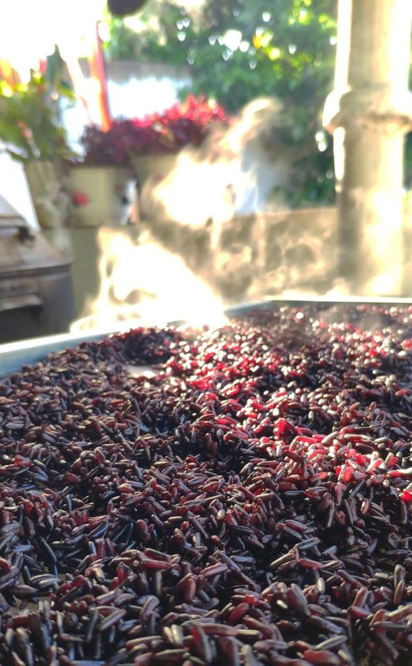 Hắc tam bảo 500g( bổ can thận, sinh tinh huyết,giúp mọc tóc,đẹp da..)-duoc-ban-tai-Quỳnh thảo dược