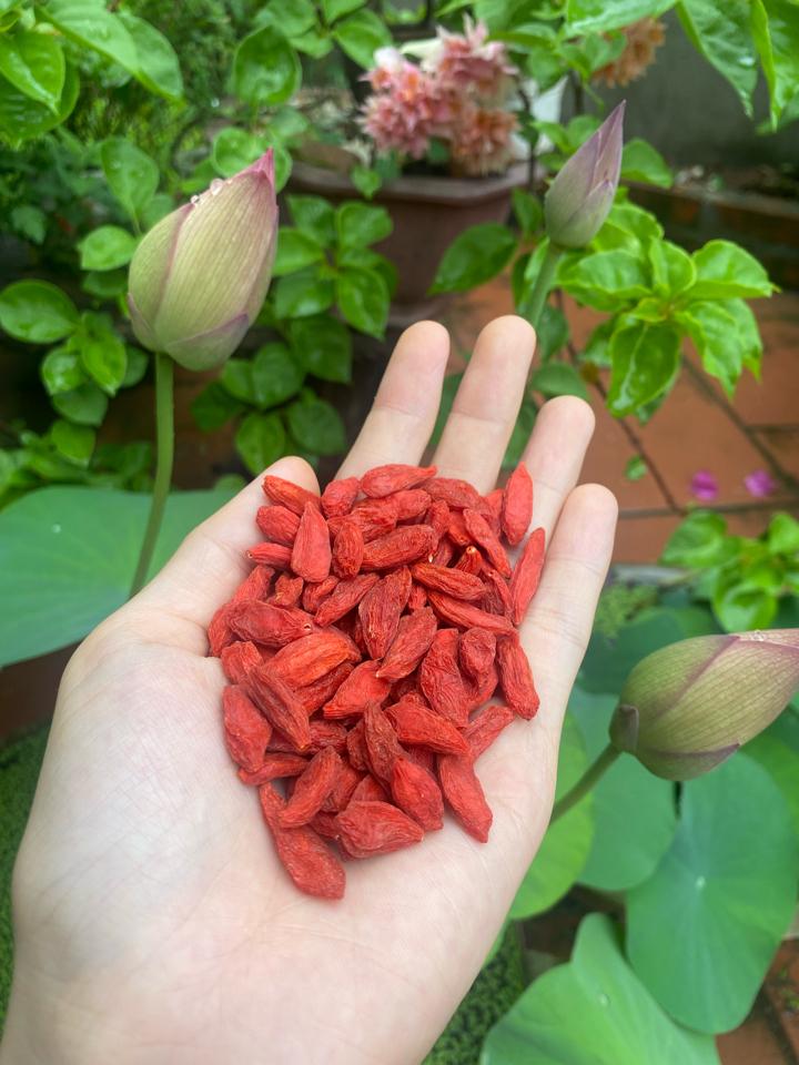 250g kỉ tử-duoc-ban-tai-Quỳnh thảo dược