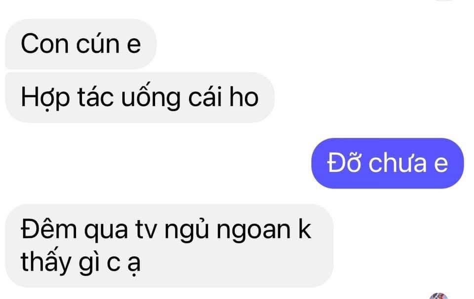 Cao Ho - Bổ phế-duoc-ban-tai-Quỳnh thảo dược