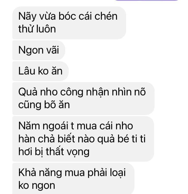 Nho Hương phi túi 500g-duoc-ban-tai-Quỳnh thảo dược