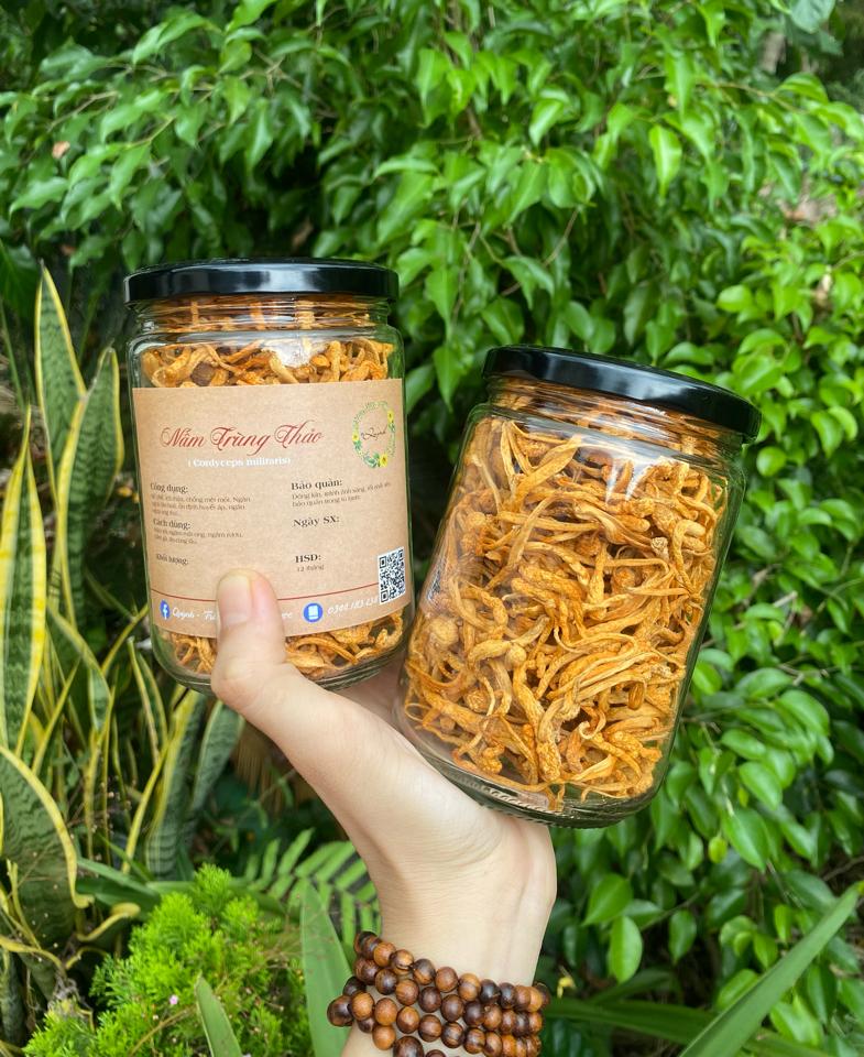 Nấm trùng thảo túi 100g-duoc-ban-tai-Quỳnh thảo dược