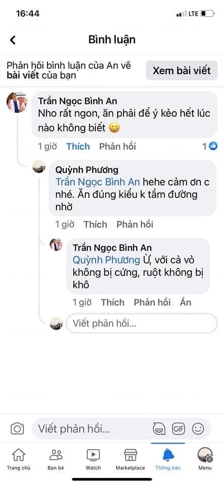Nho Hương phi túi 500g-duoc-ban-tai-Quỳnh thảo dược