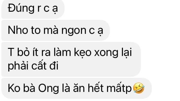 Nho Hương phi túi 500g-duoc-ban-tai-Quỳnh thảo dược