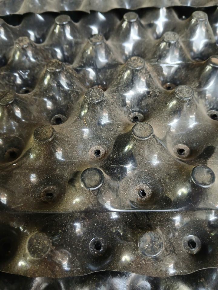 Bầu ươm V6-duoc-ban-tai-Chợ gốm Bảo Lộc