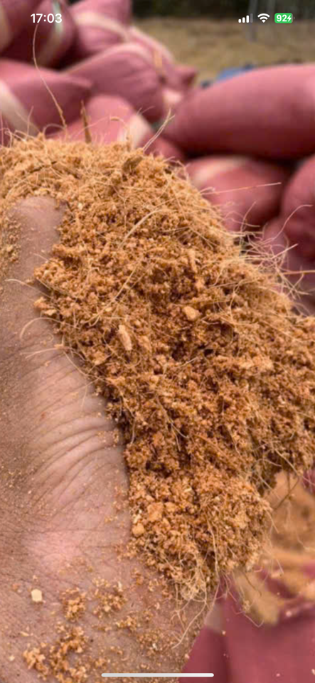 Xơ dừa chưa xử lý bao đỏ-duoc-ban-tai-Chợ gốm Bảo Lộc