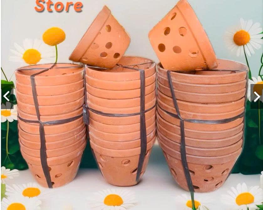 Chậu Lan BD phuy 18-duoc-ban-tai-Chợ gốm Bảo Lộc