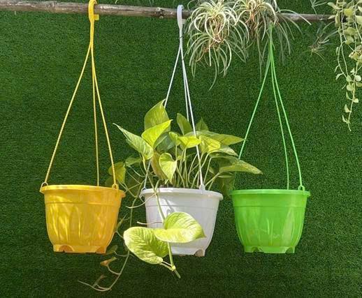 Chậu tứ quý treo-duoc-ban-tai-Chợ gốm Bảo Lộc