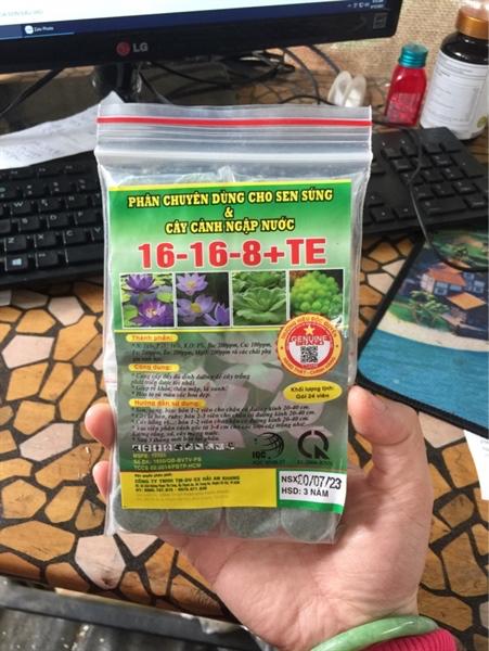 Viên sen súng- hoa hồng-duoc-ban-tai-Chợ gốm Bảo Lộc