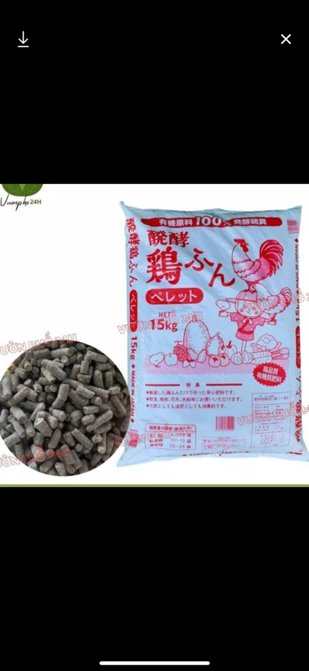 Phân gà Nhật-duoc-ban-tai-Chợ gốm Bảo Lộc