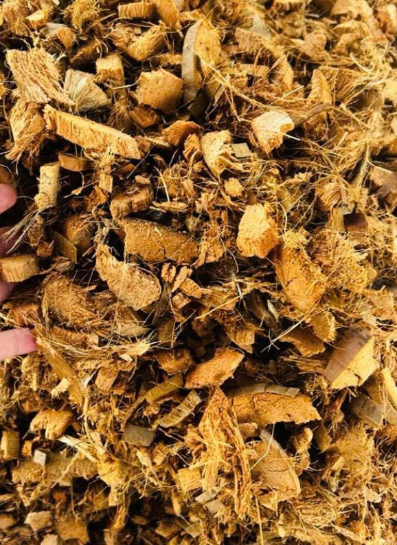 VT- Dừa cục chưa XL-duoc-ban-tai-Chợ gốm Bảo Lộc