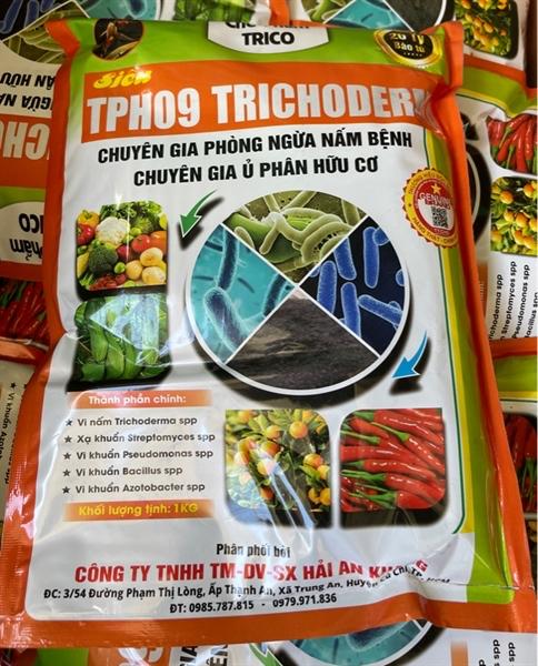 Tricodema-duoc-ban-tai-Chợ gốm Bảo Lộc