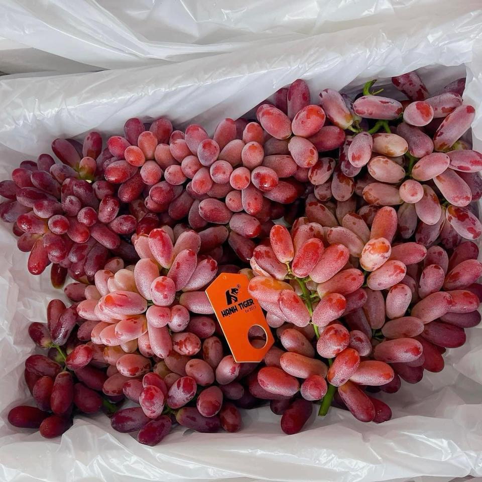 Nho Crimson 160-duoc-ban-tai-Hanhtiger Food