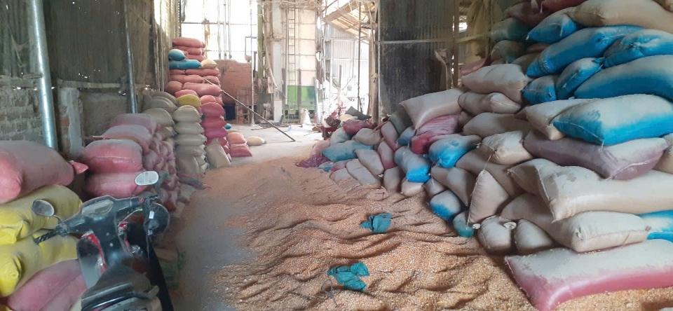 Bắp hạt bao 60kg-duoc-ban-tai-CÁM GẠO HẠNH DUY