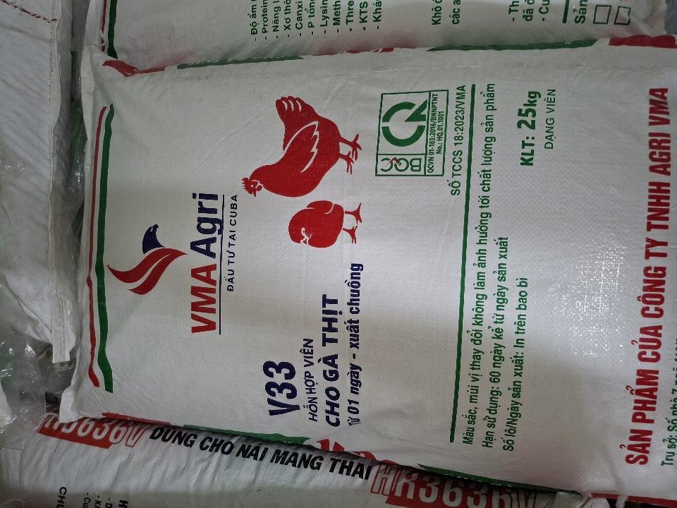 V33 gà lớn-duoc-ban-tai-CÁM GẠO HẠNH DUY