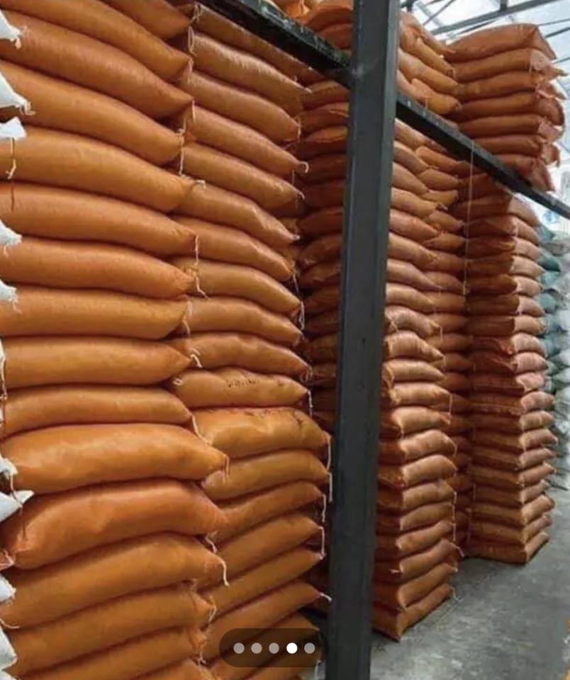 Dẻo 3A-duoc-ban-tai-CÁM GẠO HẠNH DUY