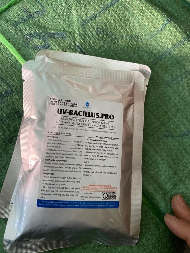 UV bacilus 100-duoc-ban-tai-CÁM GẠO HẠNH DUY